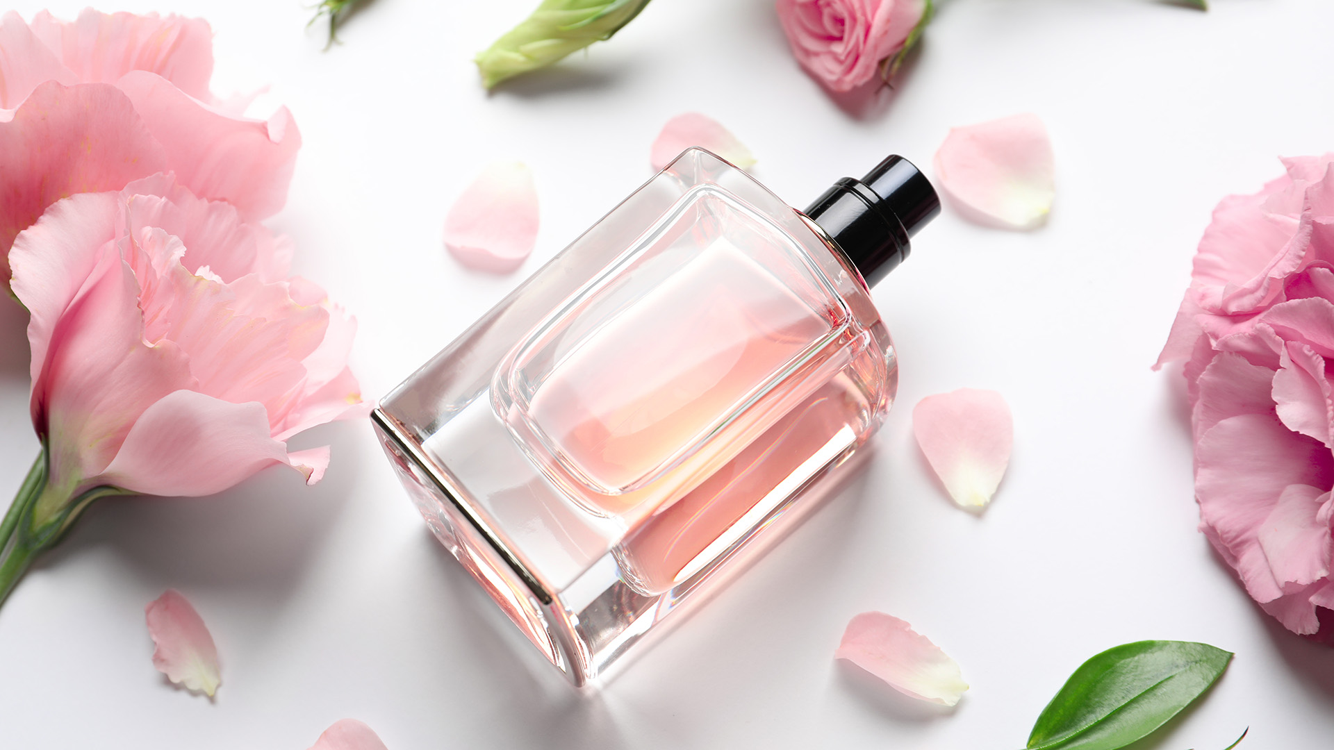 flowers-fragrance